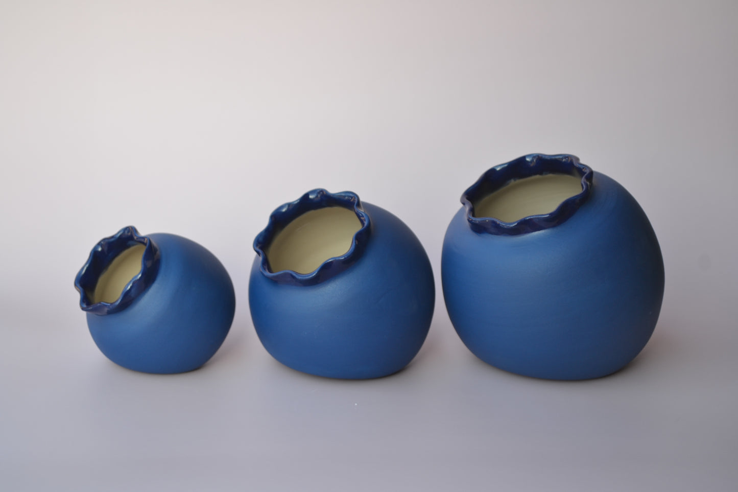 Blueberry Vase