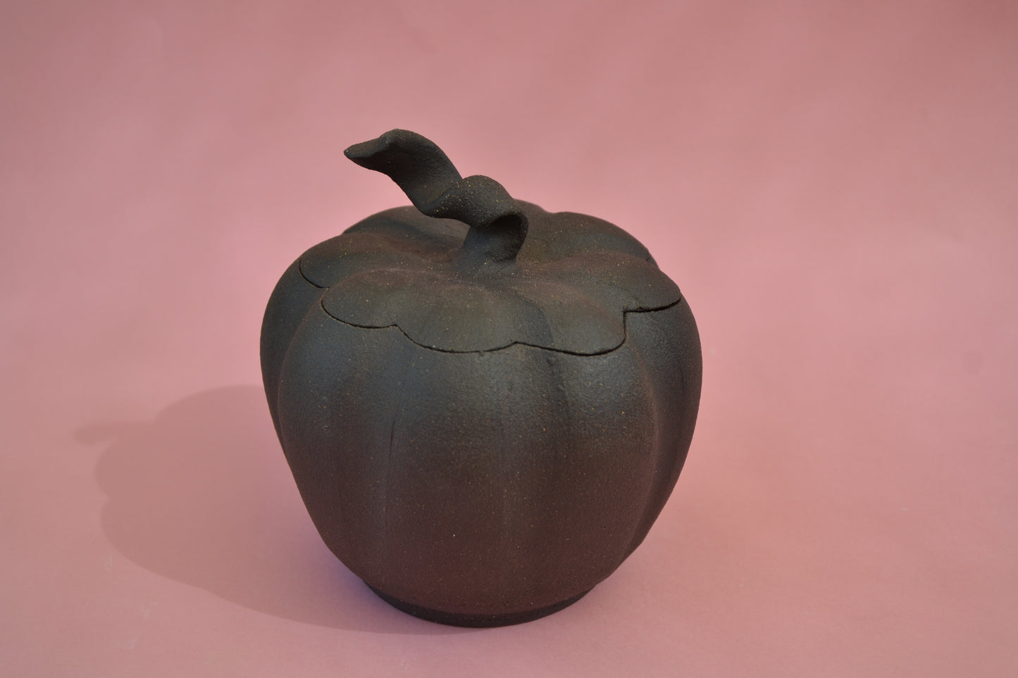 Black Pumpkin Jar 2